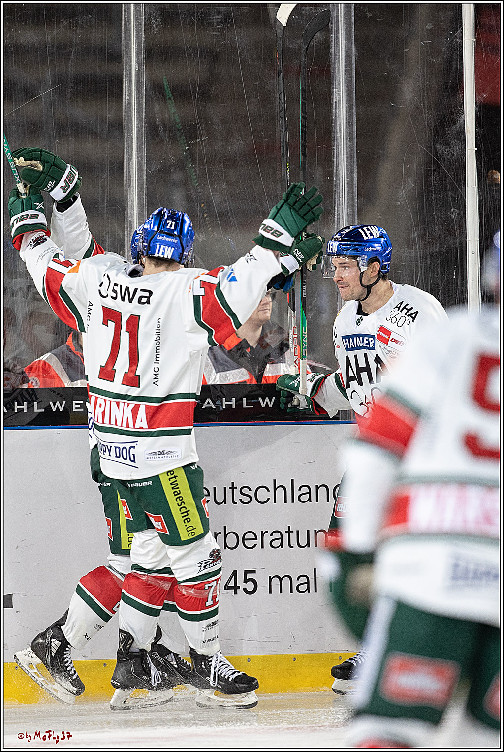 PENNY DEL;  Koelner Haie - Augsburger Panther; Koeln, 08.01.2023